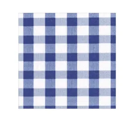 Blue Gingham Lunch Napkins