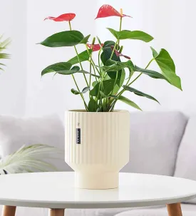 Cream Ripple Ceramic Planter – Modern Indoor & Outdoor Pot