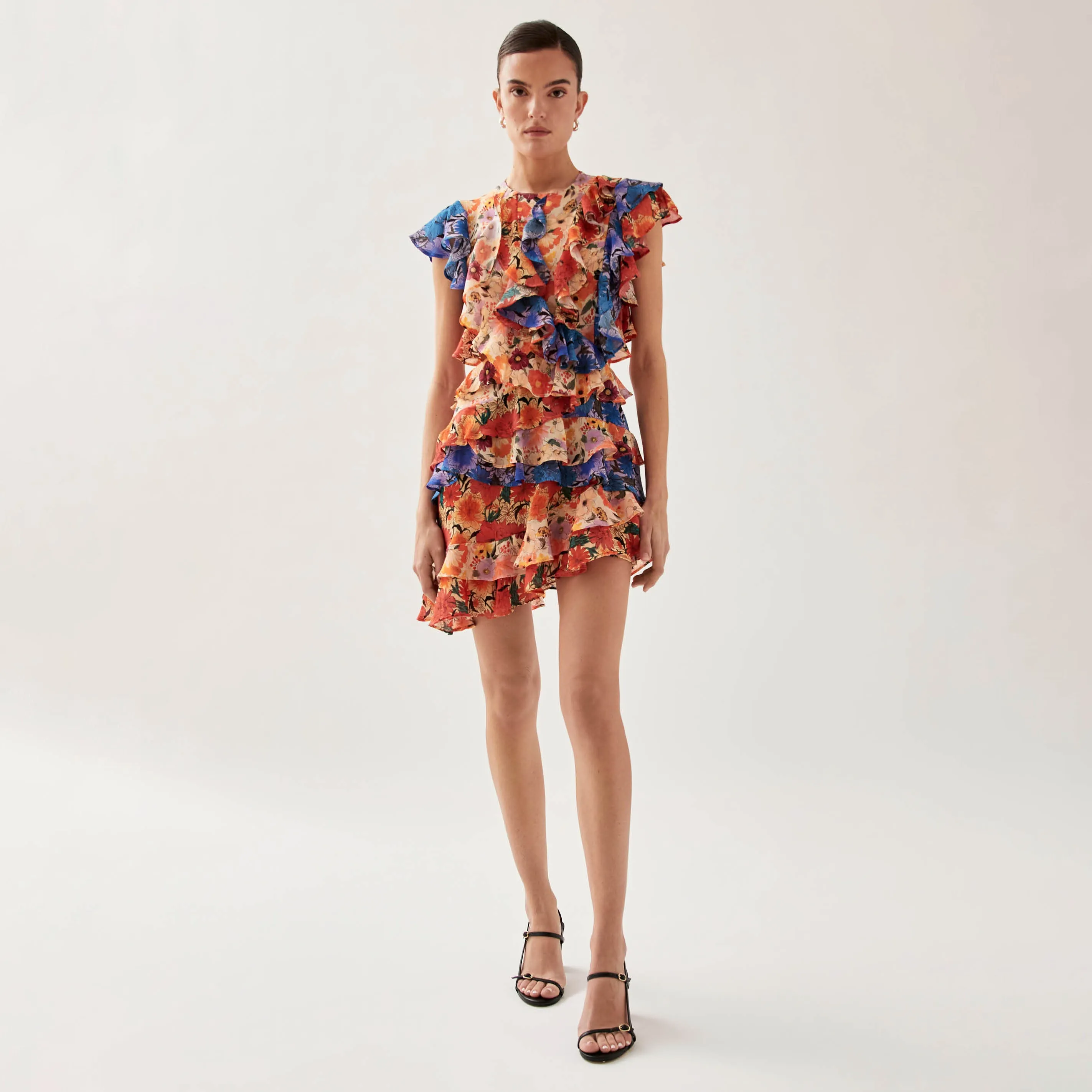 Lorette Print Floral Multicolor Mini Dress