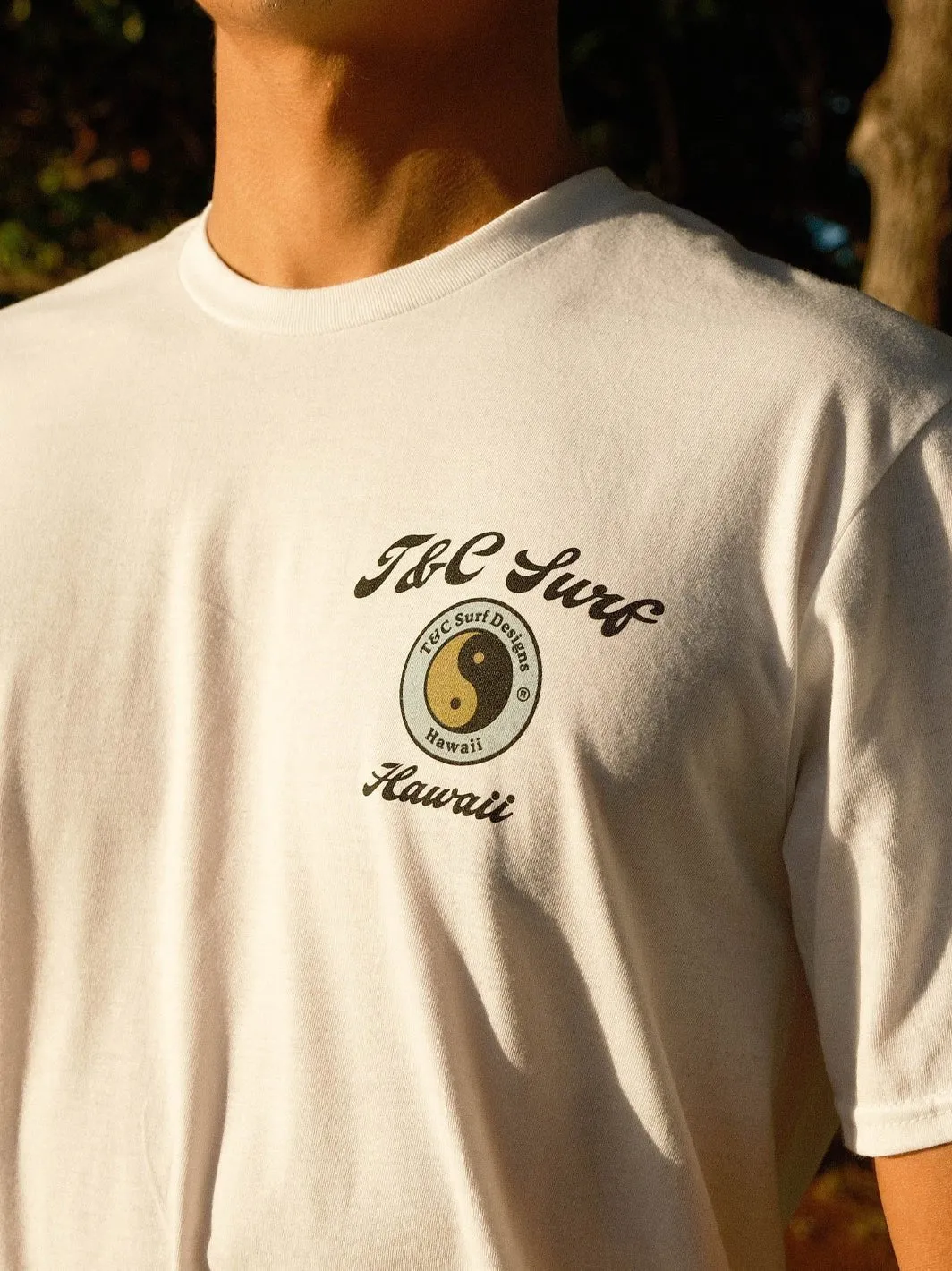 T&C Surf Adobo and Rice Jersey Tee