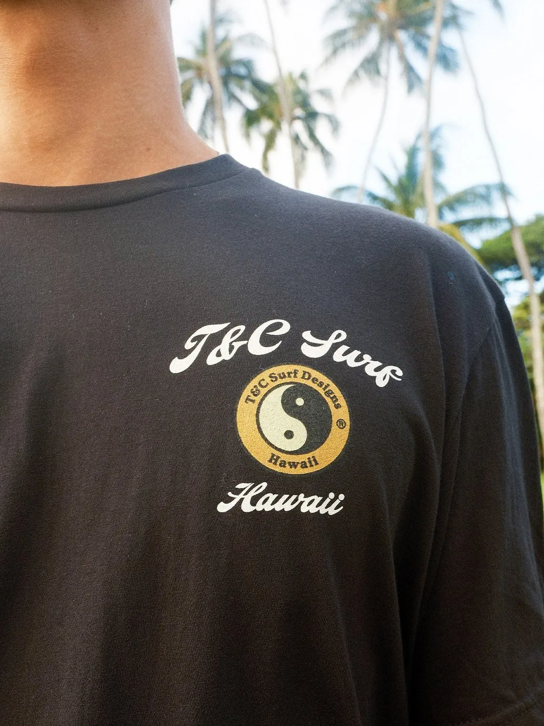 T&C Surf Adobo and Rice Jersey Tee